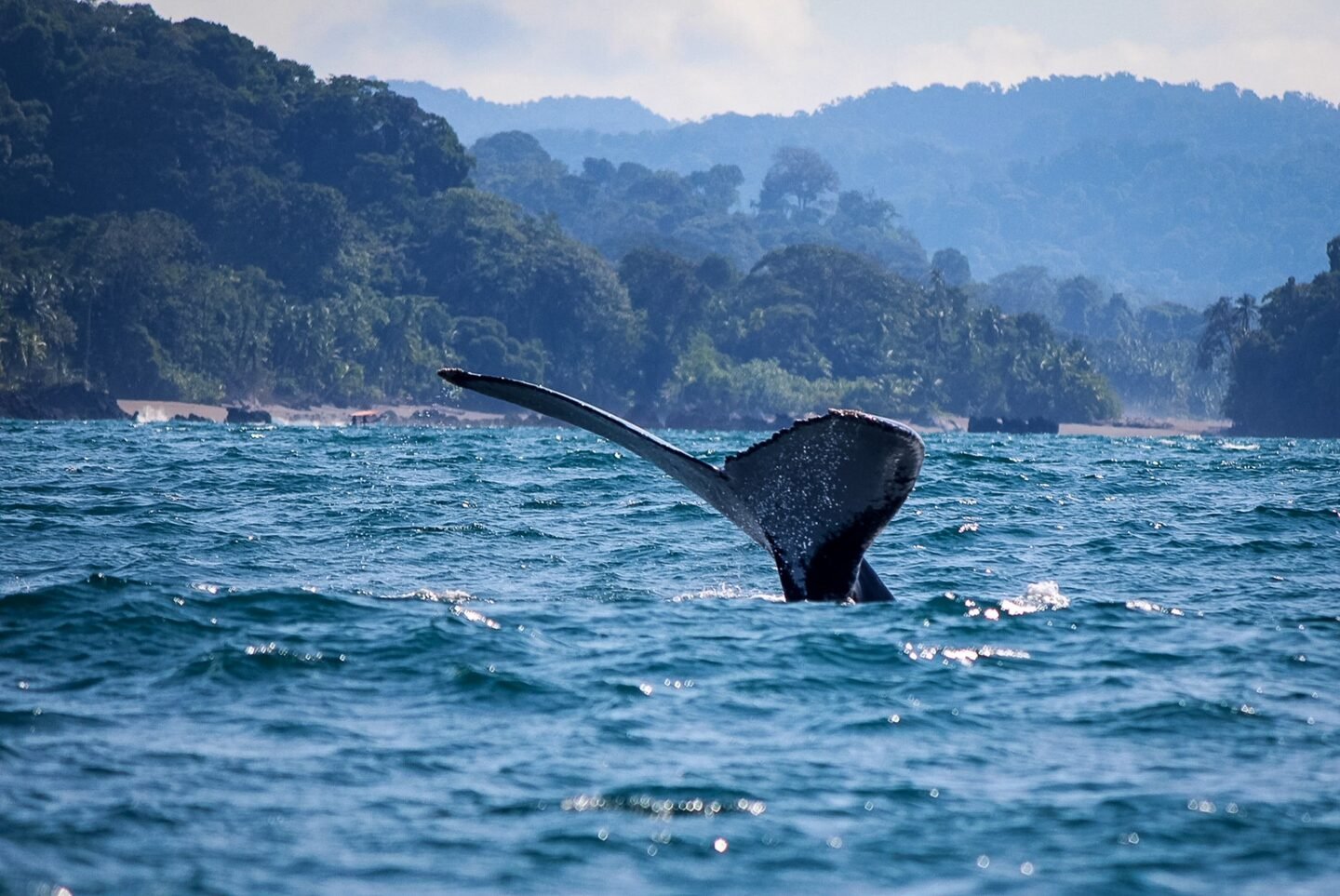 Chocó, Nuquí