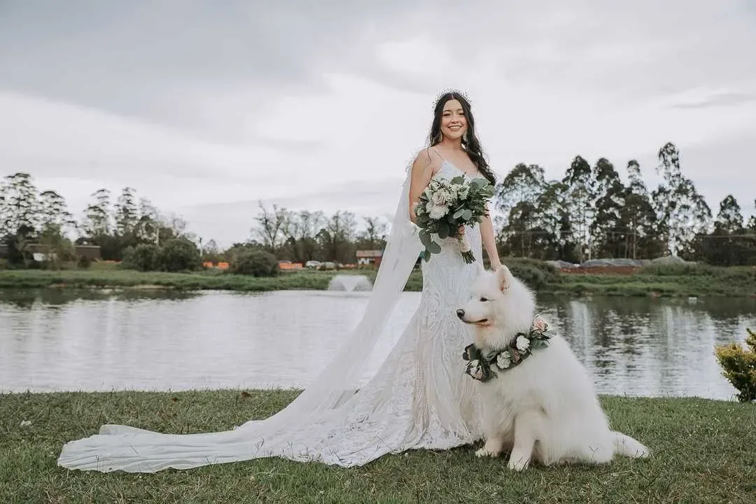 ¿Por qué los vestidos de novia son blancos? | Wink Eventos